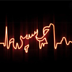 parvaz parvaz parvaz parvaz