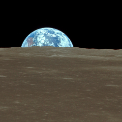 محمدرضا احمدی محمدرضا احمدی