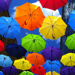معصومه موسوی معصومه موسوی