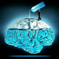 احمدرضا طاهری احمدرضا طاهری