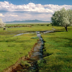 رسول  جمشیدیان قلعه سفیدی رسول  جمشیدیان قلعه سفیدی