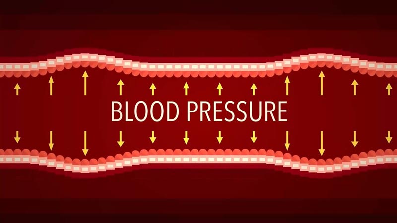 عملکرد فشار خون