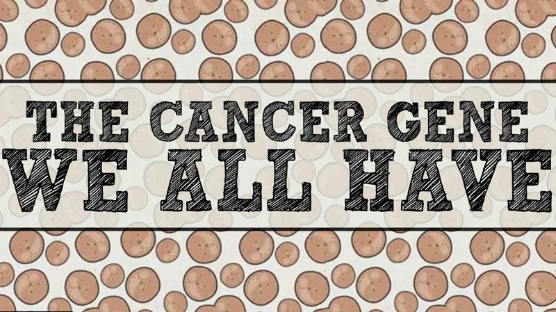 آیا می‌دانستید که همه انسان‌ها ژن سرطان‌زا دارند؟