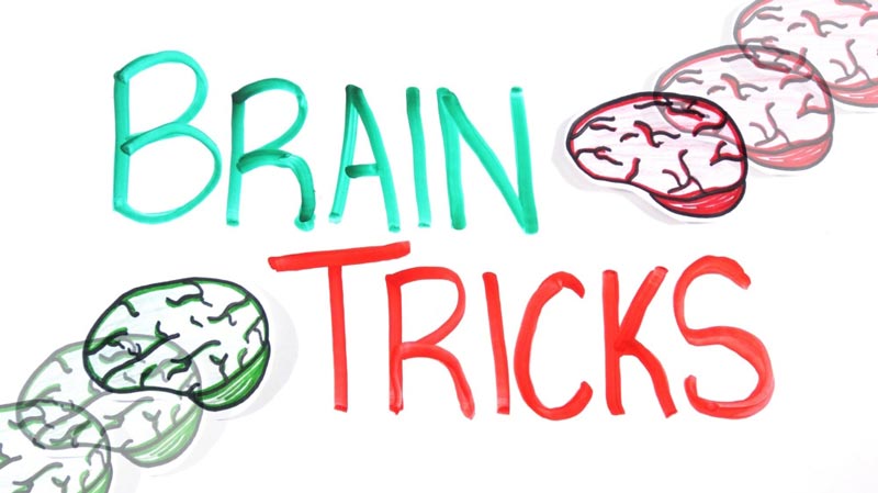مغز شما چه‌گونه فربیتان می‌دهد!