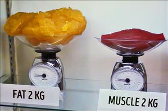 2 کیلوگرم چربی در مقایسه با دو کیلوگرم ماهیچه