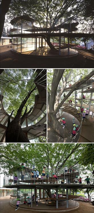 مهد کودکی در ژاپن که پیرامون یک درخت ساخته شده.