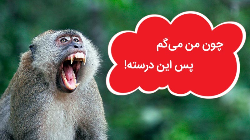 سوگیری (جهت‌گیری) به حمایت از انتخاب - تعصب