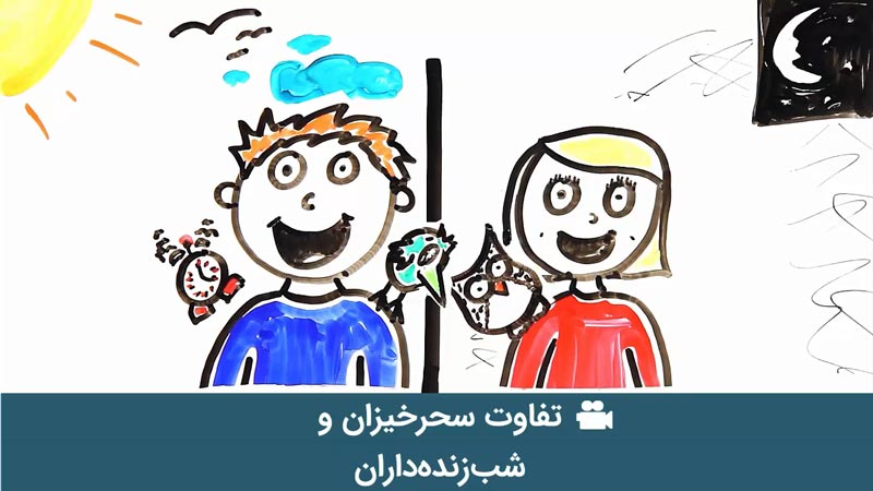 تفاوت سحرخیزان و شب‌زنده‌داران!