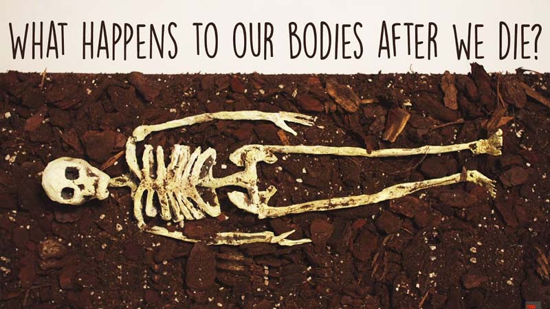 بعد از مرگ چه اتفاقی برای بدن ما می‌افتد؟!