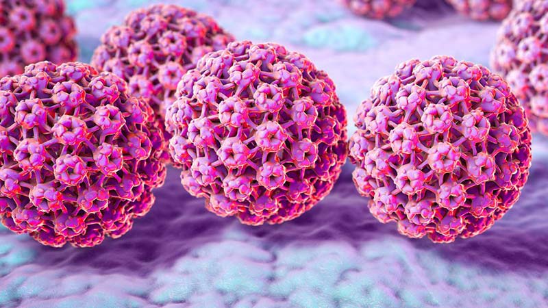 همه چیز در مورد HPV و زگیل ناحیه تناسلی