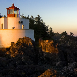 هانی بیانی ina هانی بیانی ina