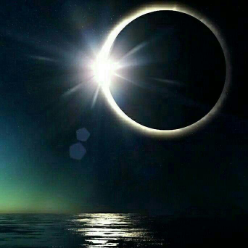 رضا ریحانی رضا ریحانی