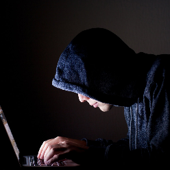 Houman Pashaei Houman Pashaei