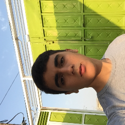 mostafa panahi mostafa panahi