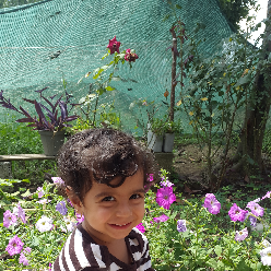 zainab ebrahimi zainab ebrahimi