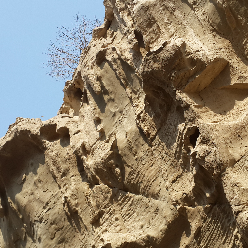 یحیی شمسی یحیی شمسی