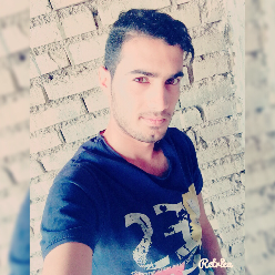 ahmad hamid ahmad hamid