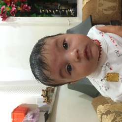 Amir Farrokhi Amir Farrokhi