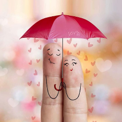 Hanieh haghighat Hanieh haghighat