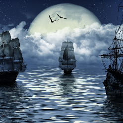 شقایق دانه کار شقایق دانه کار