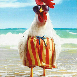 امیر نبی زاده امیر نبی زاده