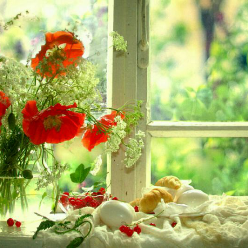 ا نوروزی ا نوروزی