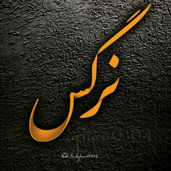 narges Tajali narges Tajali