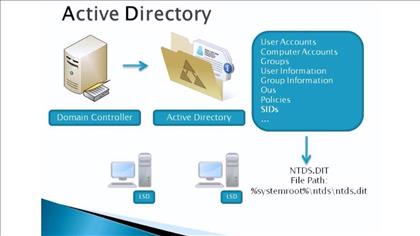 تفاوت‌های بین Workgroup و Domain