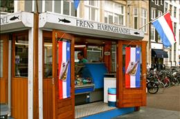 از این جا می توانید گوش ماهی هلندی بخرید 