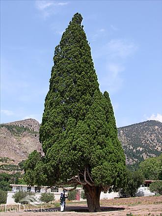 آثار طبیعی ملی ایران