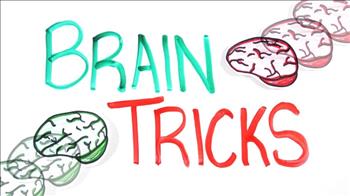 مغز شما چه‌گونه فربیتان می‌دهد!