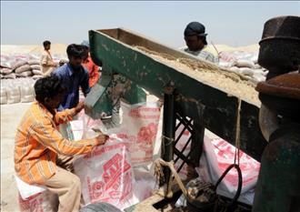 بسته‌بندی نمک در هند