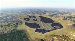 ساخت یک مزرعه خورشیدی به شکل پاندا در چین