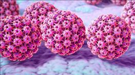 همه چیز در مورد HPV و زگیل ناحیه تناسلی