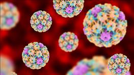 درباره HPV، سرطان دهانه رحم و راه‌های درمان آن