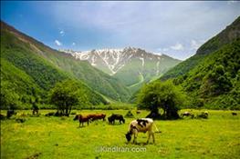 ۱۴ نقطه دیدنی از شمال ایران